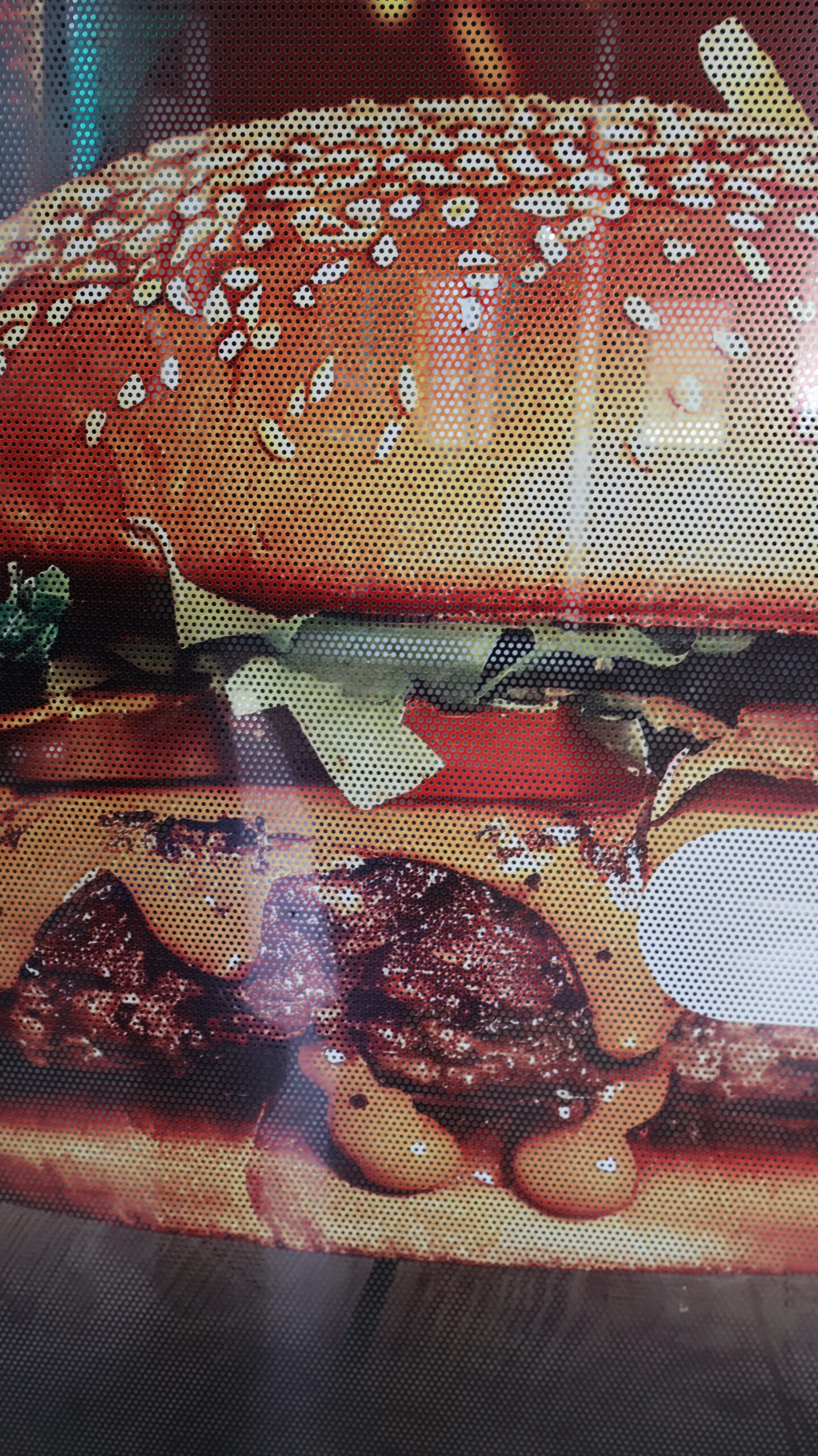 EXTERIRO
